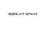 Reproductive hormones