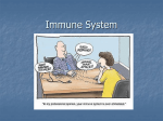 Immune System