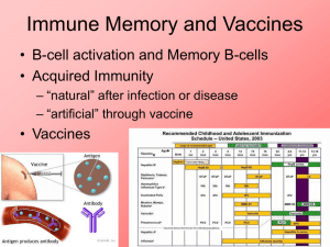 Immune Memory and Vaccines