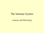 The Immune System - Clark Pleasant Community School Corp