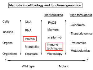 MCB 181 (Nov 4 – Dec 4) Information and Heredity