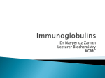 Immunoglobulins - Khyber Girls Medical College