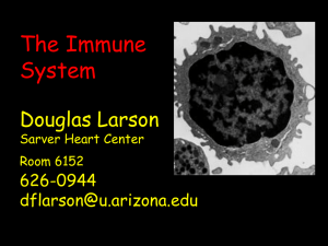 The Immune System - University of Arizona