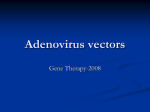 Adenovirus vectors - Baylor College of Medicine