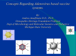 Innate Immune responses to Adenovirus based vectors: Ad