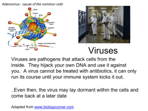 Viruses