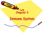 Chapter 8 Immune Organs