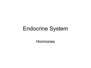 Endocrine System