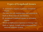 Tissues of the immune system