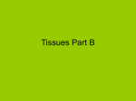 Tissues Part B - Thinkport.org