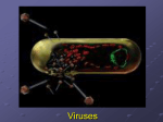 Viruses (dellpassovoy) - Ms. Pass's Biology Web Page