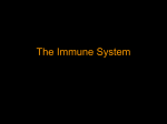The Immune System - Blue Valley School District
