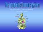 The Lymphatic/Immune System