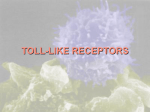 TOLL-LIKE RECEPTORS Toll-like receptors & Host