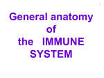 10 General anatomy of immune system
