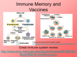 Immune Memory and Vaccines