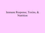 A41-Immune Response