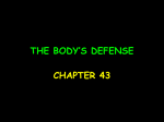 the body`s defense