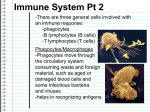 File - Science with Mr. Louie