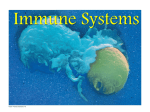 AP Biology Immune Systems Part 1 powerpoint
