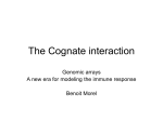 The cognate interaction