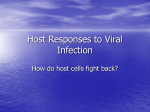 Host Responses to Viral Infection - Cal State LA