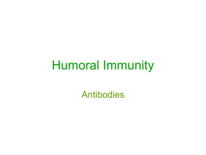 Humoral Immunity Antibodies.