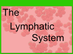 Immune/Lympathic