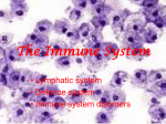 immune system - Doral Academy Preparatory