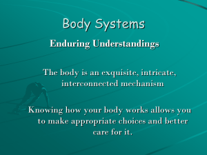 H.BS.Body Systems Ppt 09.10 body_systems_project.10