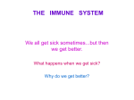 the immune system - lpvec
