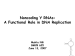 Noncoding Y RNAs
