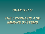 Ch 6 Med Term and Ch 15 BS Lymphatic_ImmuneSystems