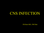 cns-infection