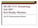 MLAB 1315- Hematology Fall 2007 Keri Brophy