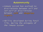 Autoimmunity 3rd yr