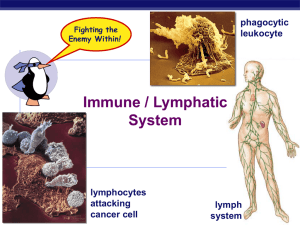 Immunity - 1st and 2nd lines of defense