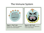 The Immune System