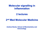 Molecular Medicine SF