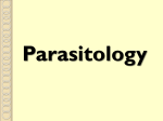 Immunity to parasites