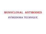 Immunology_Lecture8Monoclonal_AbsHybridoma