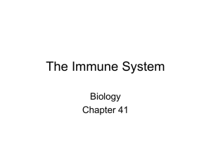 The Immune System