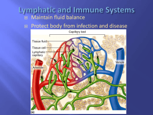 Lymphatic/Immune - Pasadena City College