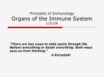 Organs of the Immune System 01/31/06