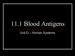 11.1 Blood Antigens