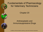 Chapter 20 - Antineoplatic Drugs - Delmar