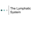 The Lymphatic System