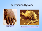 The Lymphatic and System and the Immune System