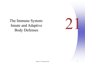 Chapter 21, Immune System