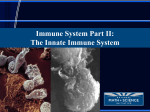 The Innate Immune System